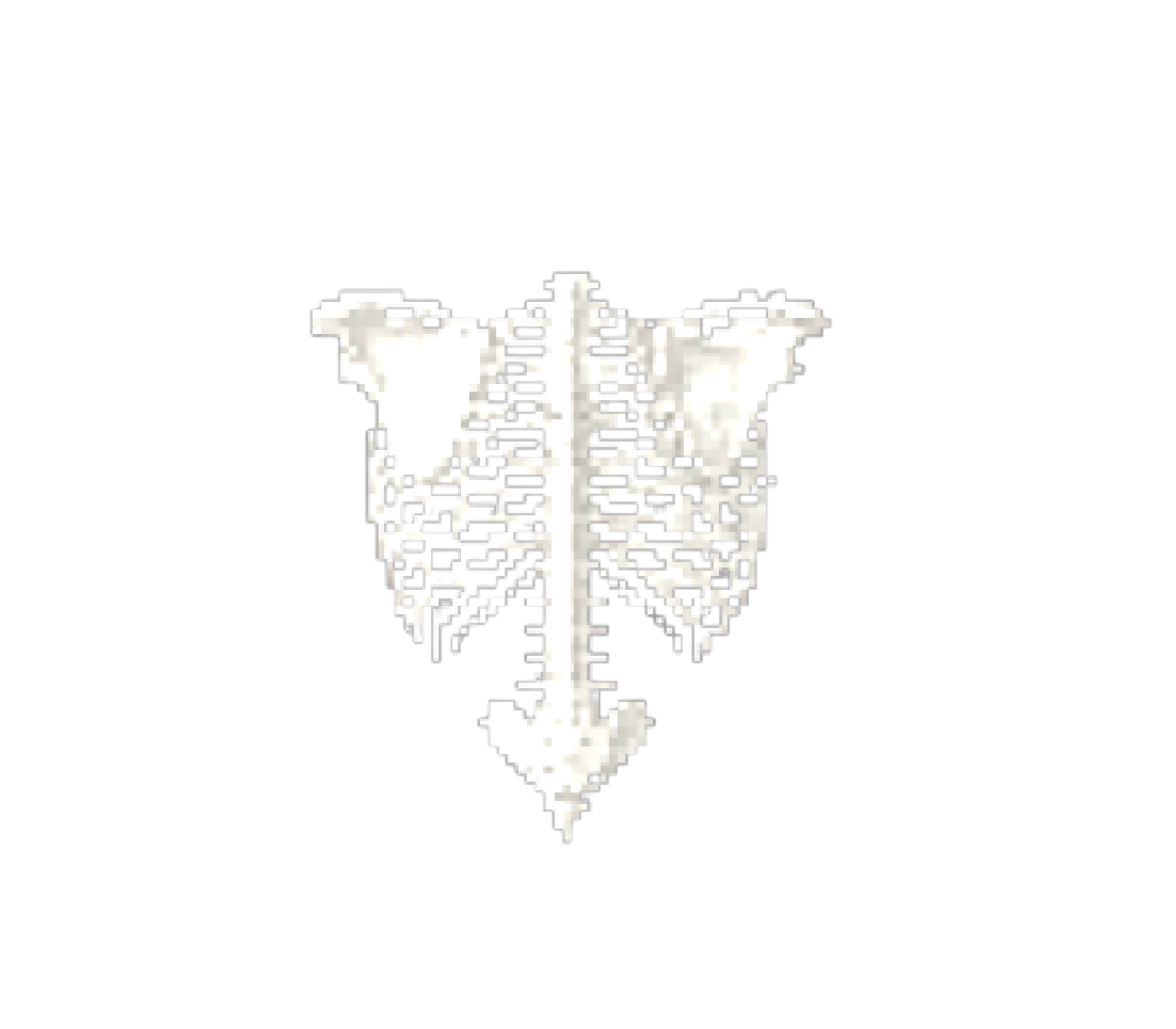 SKELLY